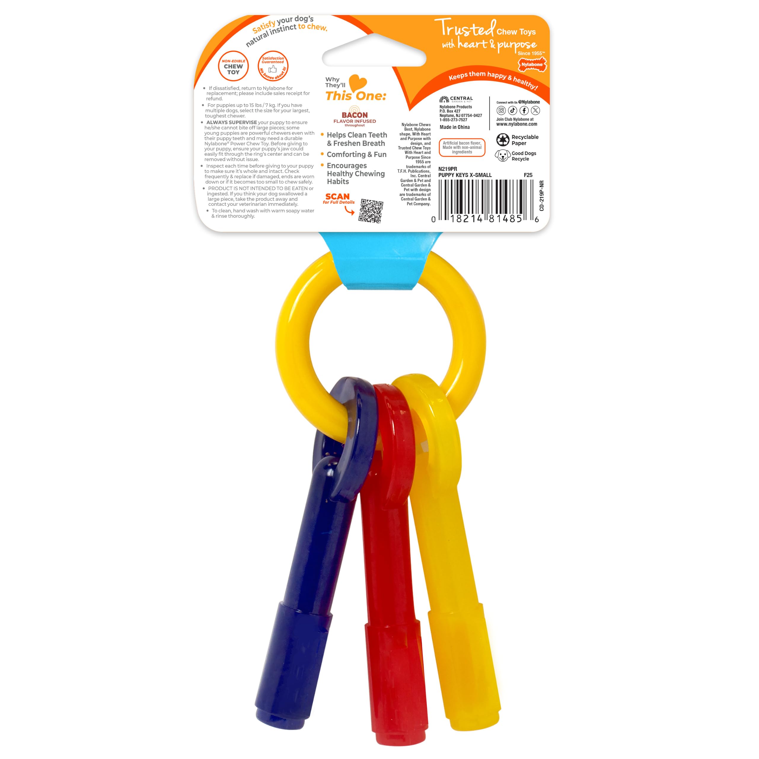 Nylabone en contexte domestique encourage mastication positive à la maison
