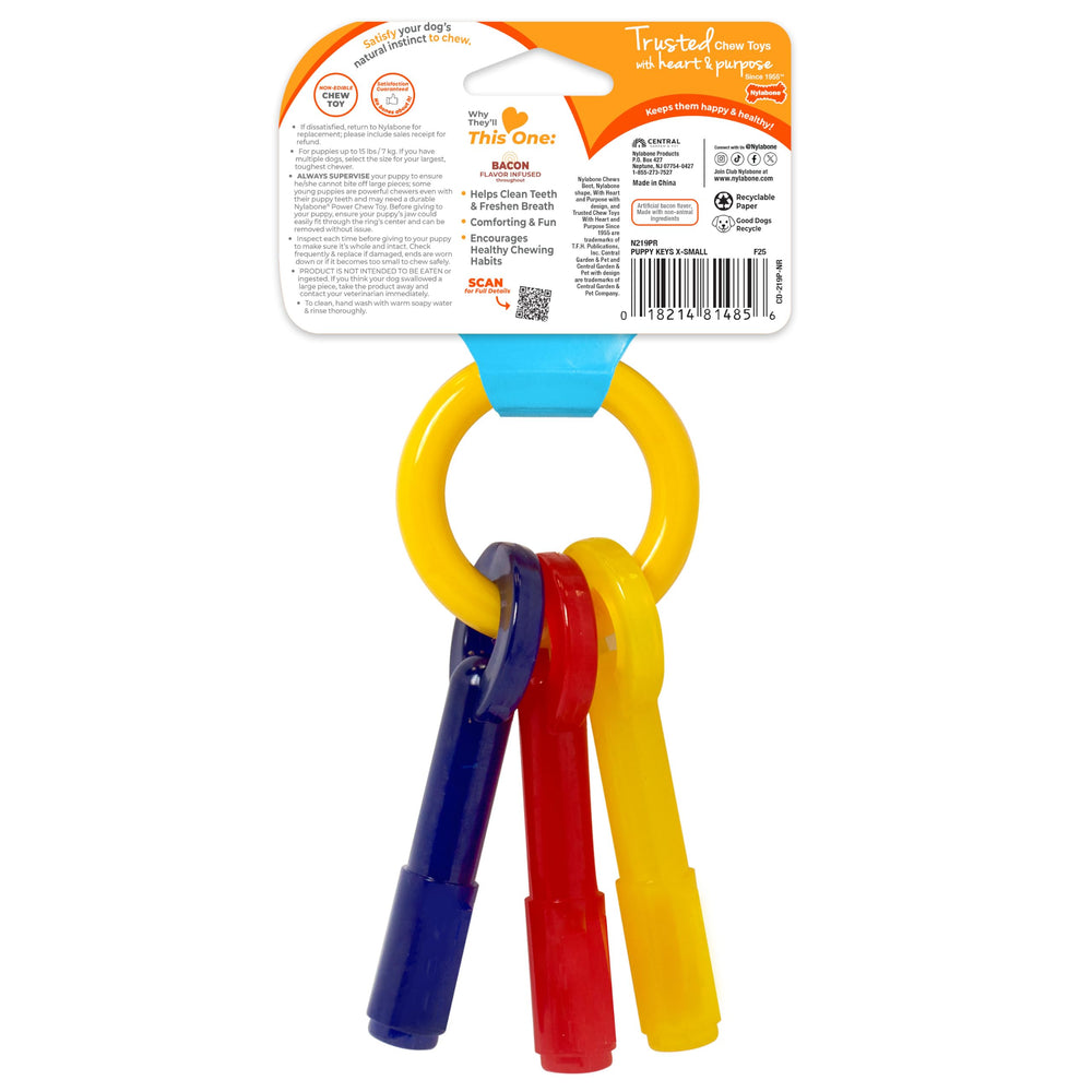 Nylabone en contexte domestique encourage mastication positive à la maison