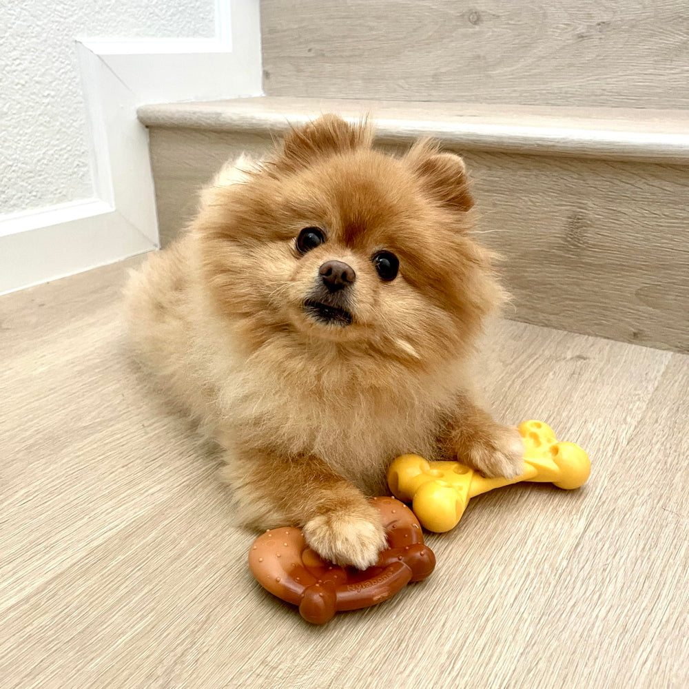 Nylabone gros plan texture montrant rainures pour nettoyer dents