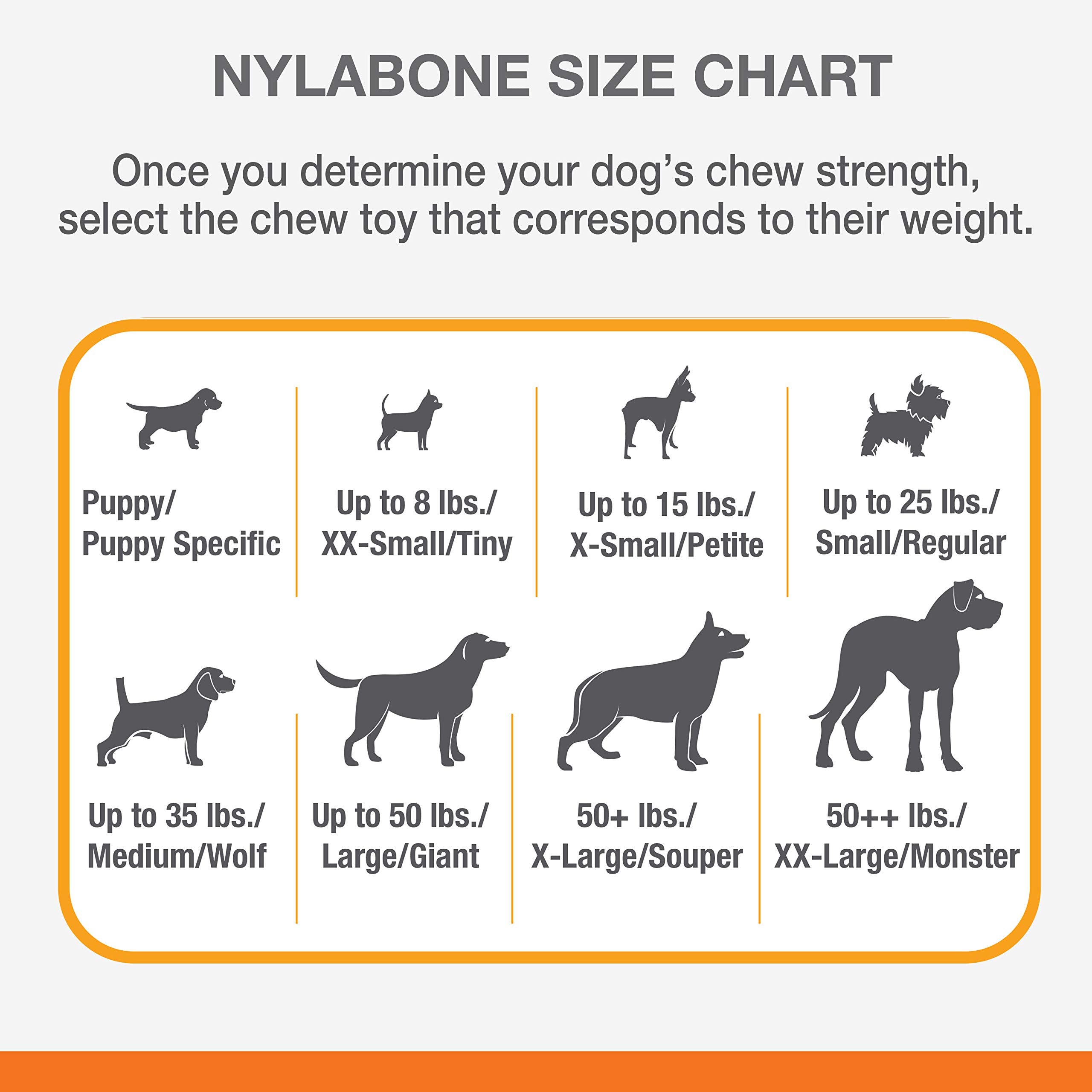 Nylabone comparaison à une règle montrant dimensions réelles pour ajustement