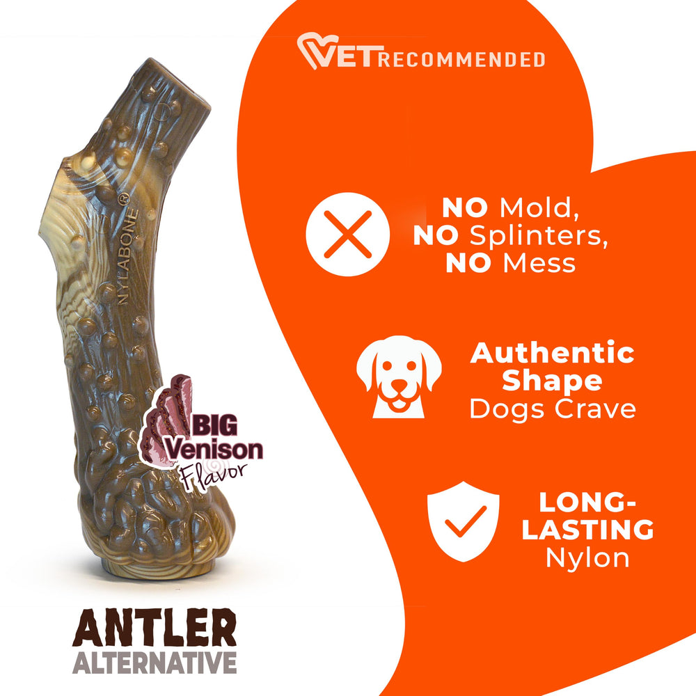 Nylabone comparaison avec une main pour visualiser la taille Large utile