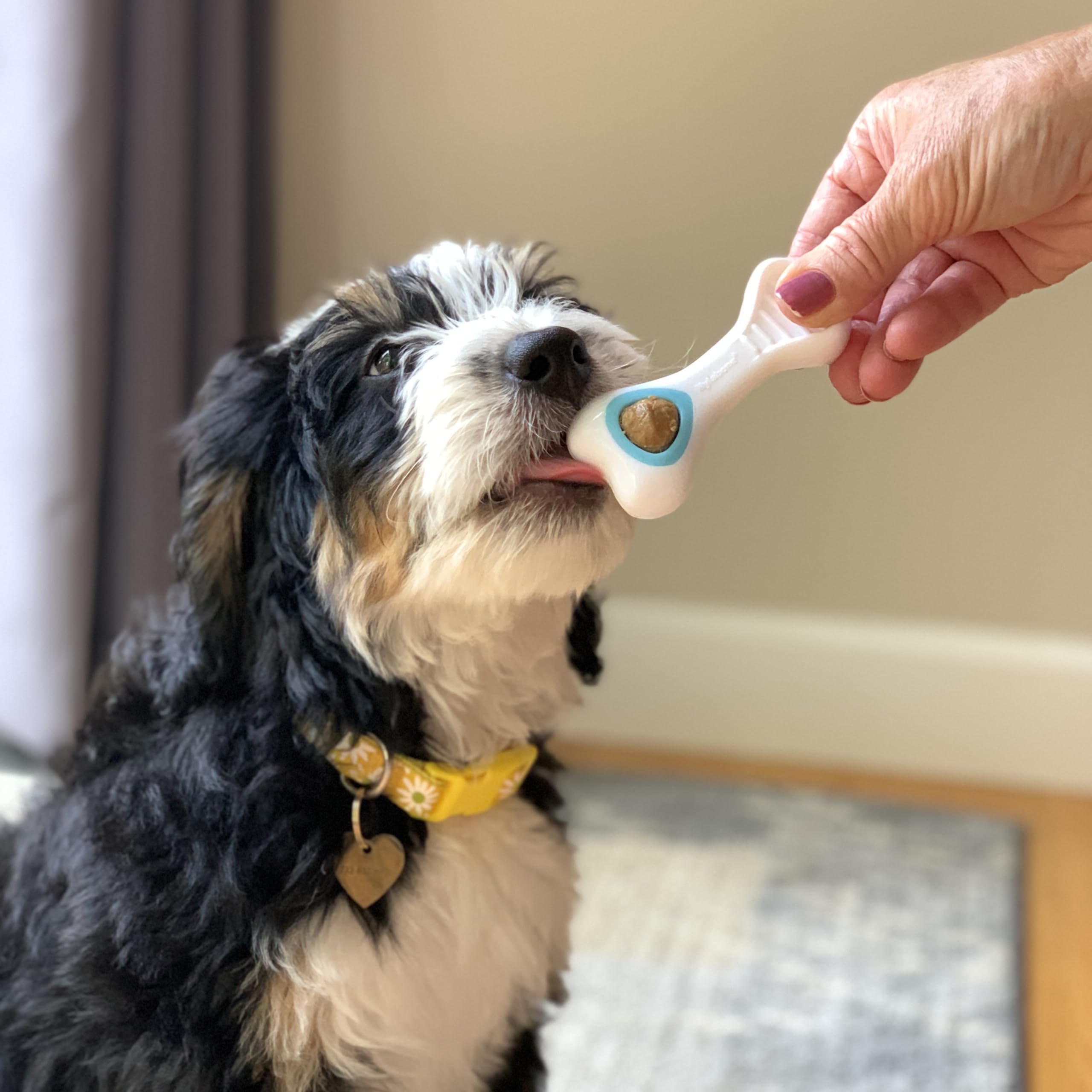 Nylabone gros plan du produit illustrant la structure durable pour mastication sûre
