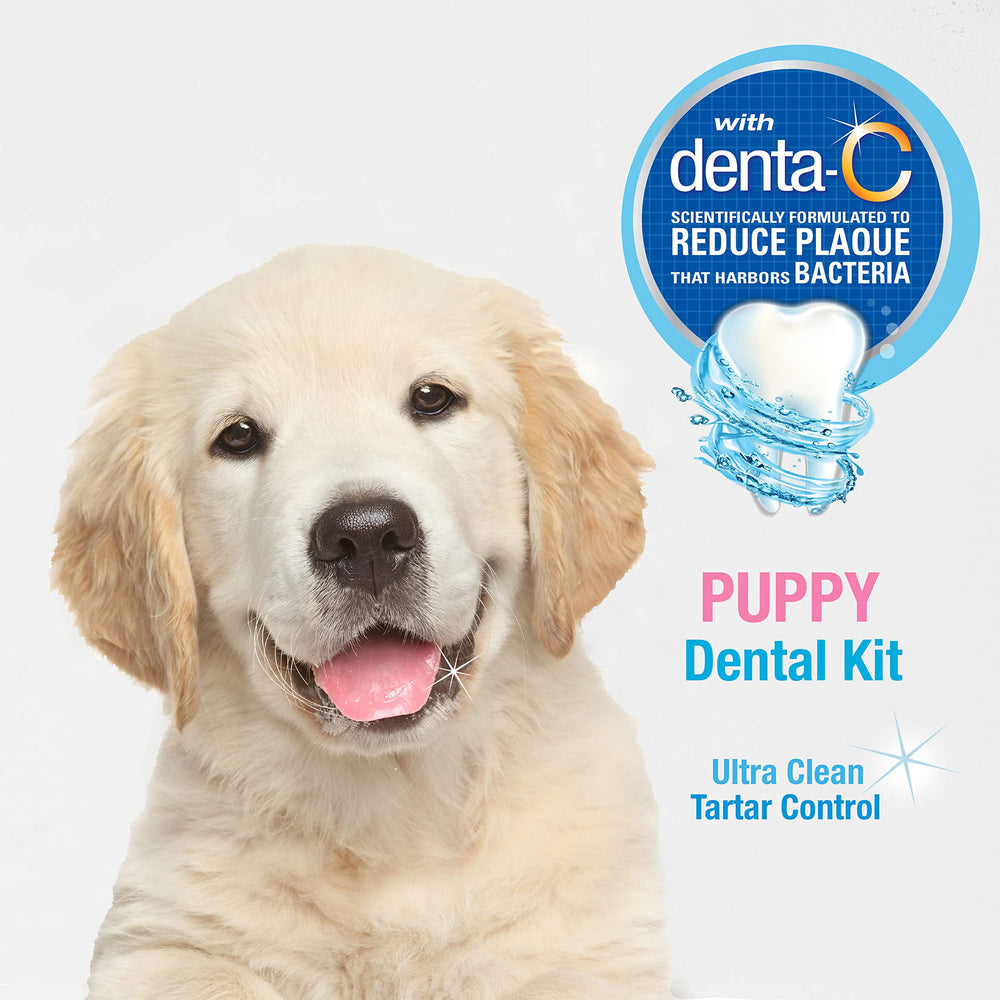 Nylabone dentifrice 2,5 oz Denta-C flacon prêt à l'emploi