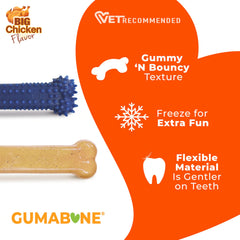 Nylabone deux jouets côte à côte offrant variété et stimulation