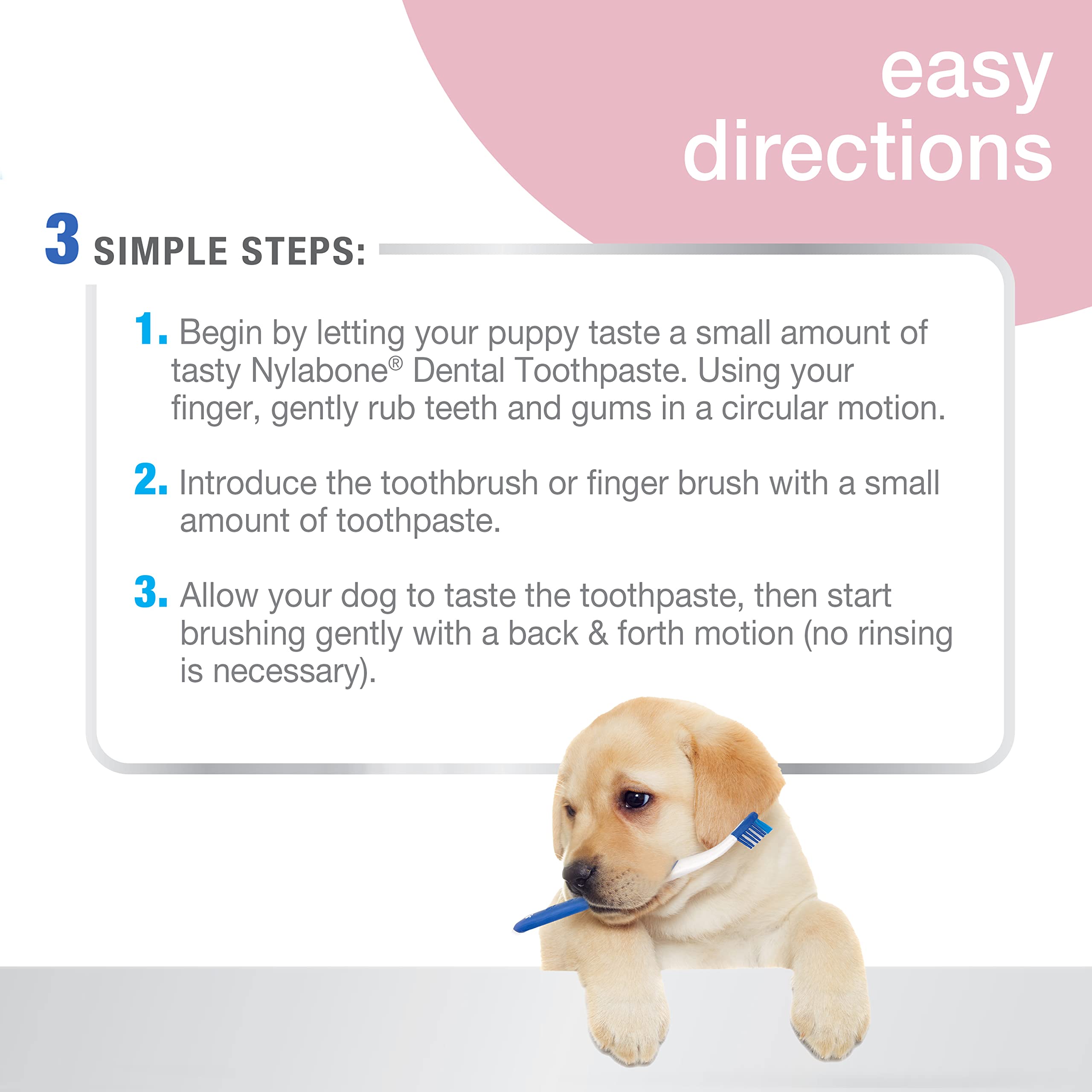 Nylabone doigtier souple gros plan pour nettoyage précis et rassurant