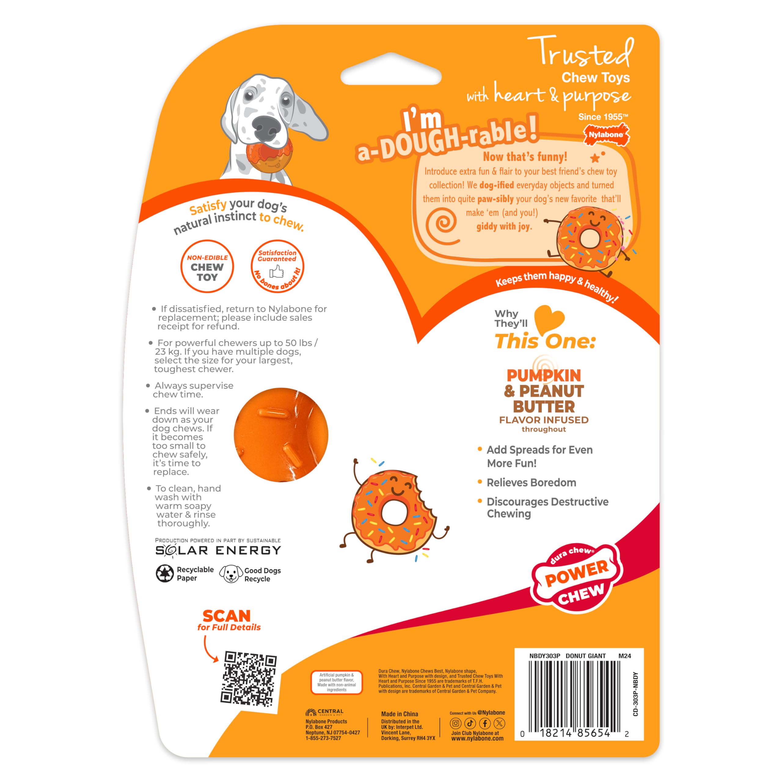 Nylabone chien jouant avec le donut pour encourager mastication saine