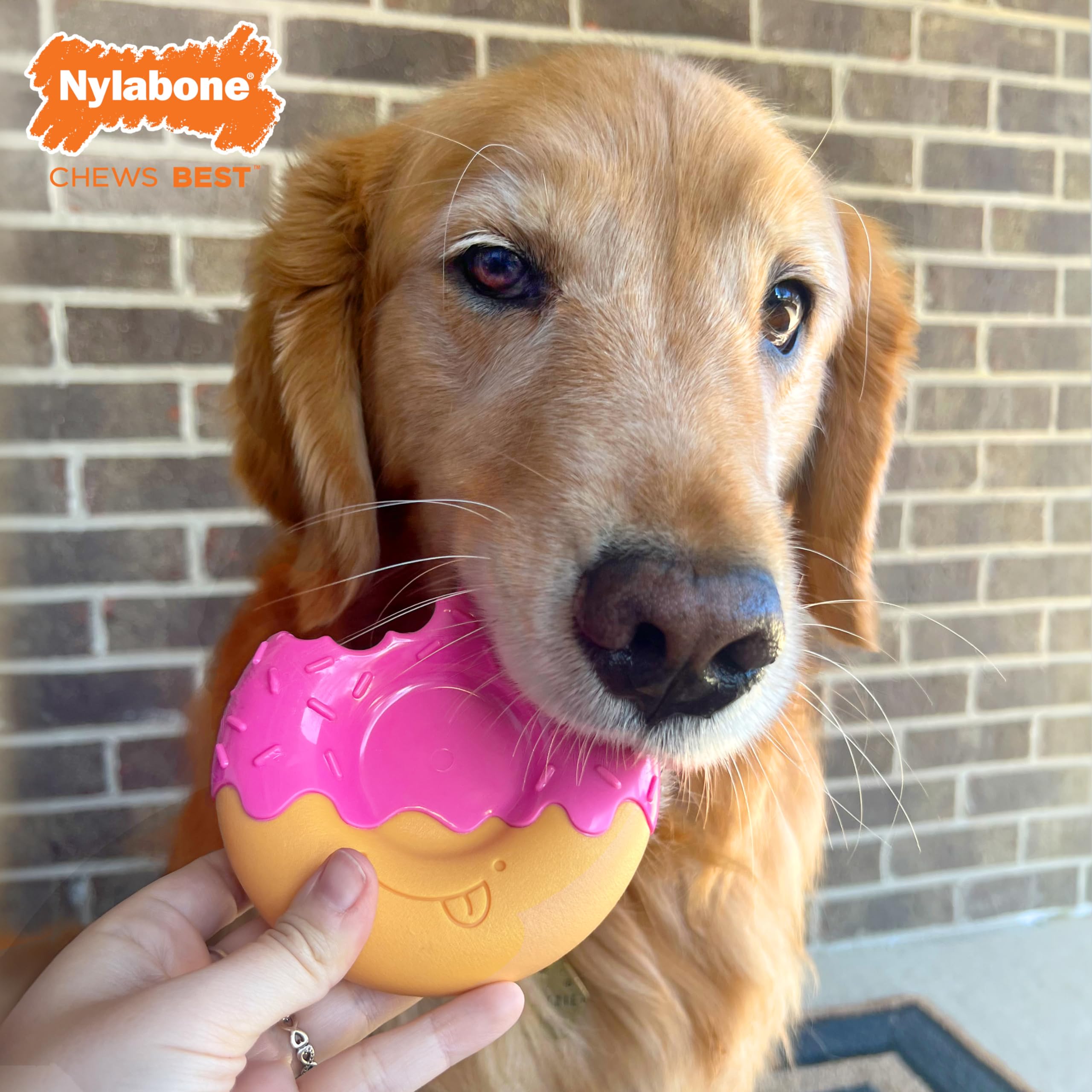 Nylabone poche centrale remplie de friandise prolongeant l'intérêt