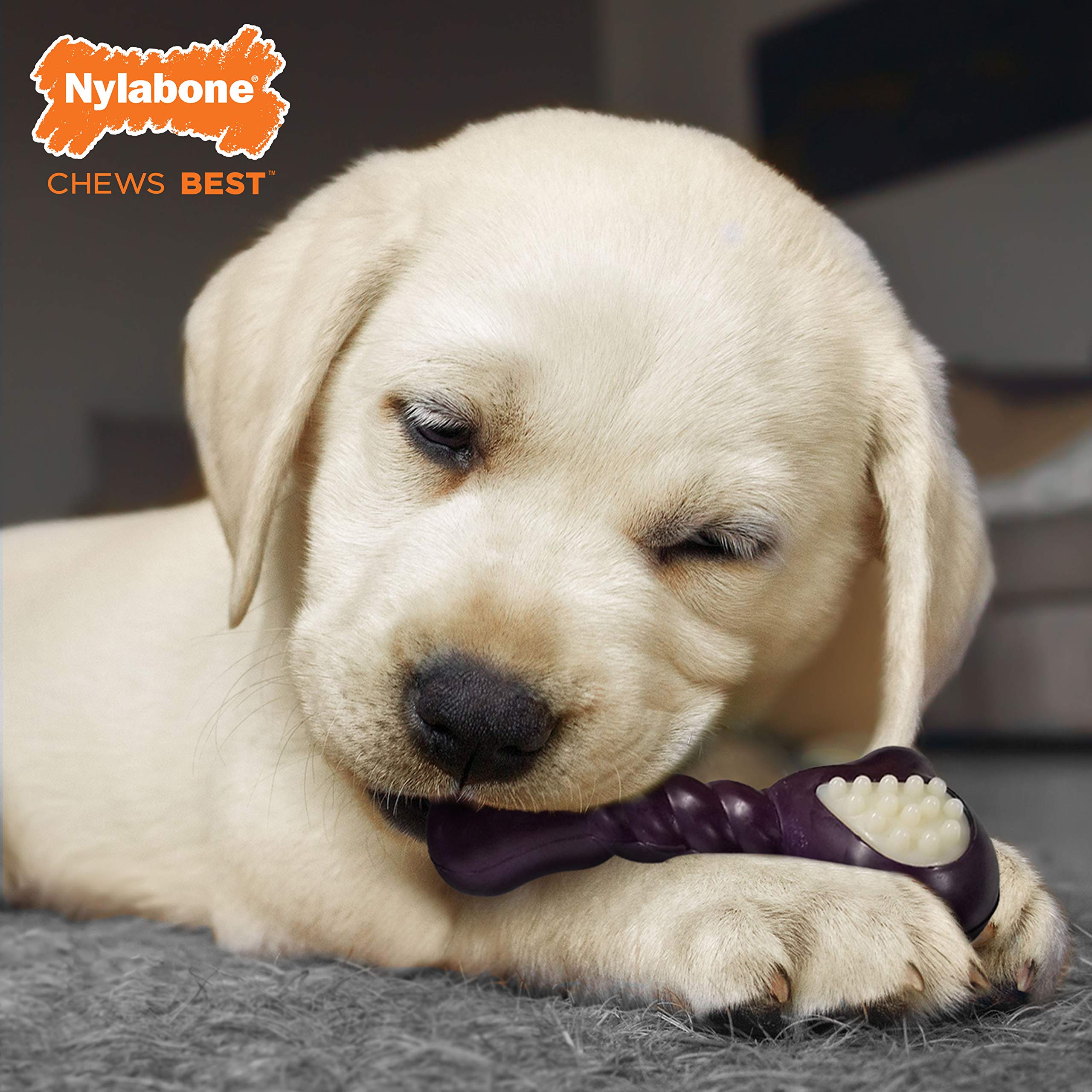 Nylabone gros plan texture montrant reliefs pour nettoyer dents