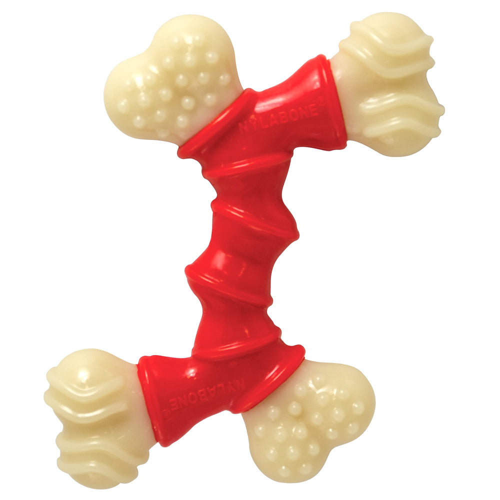 Nylabone détail d'une extrémité texturée, surface conçue pour frotter dents