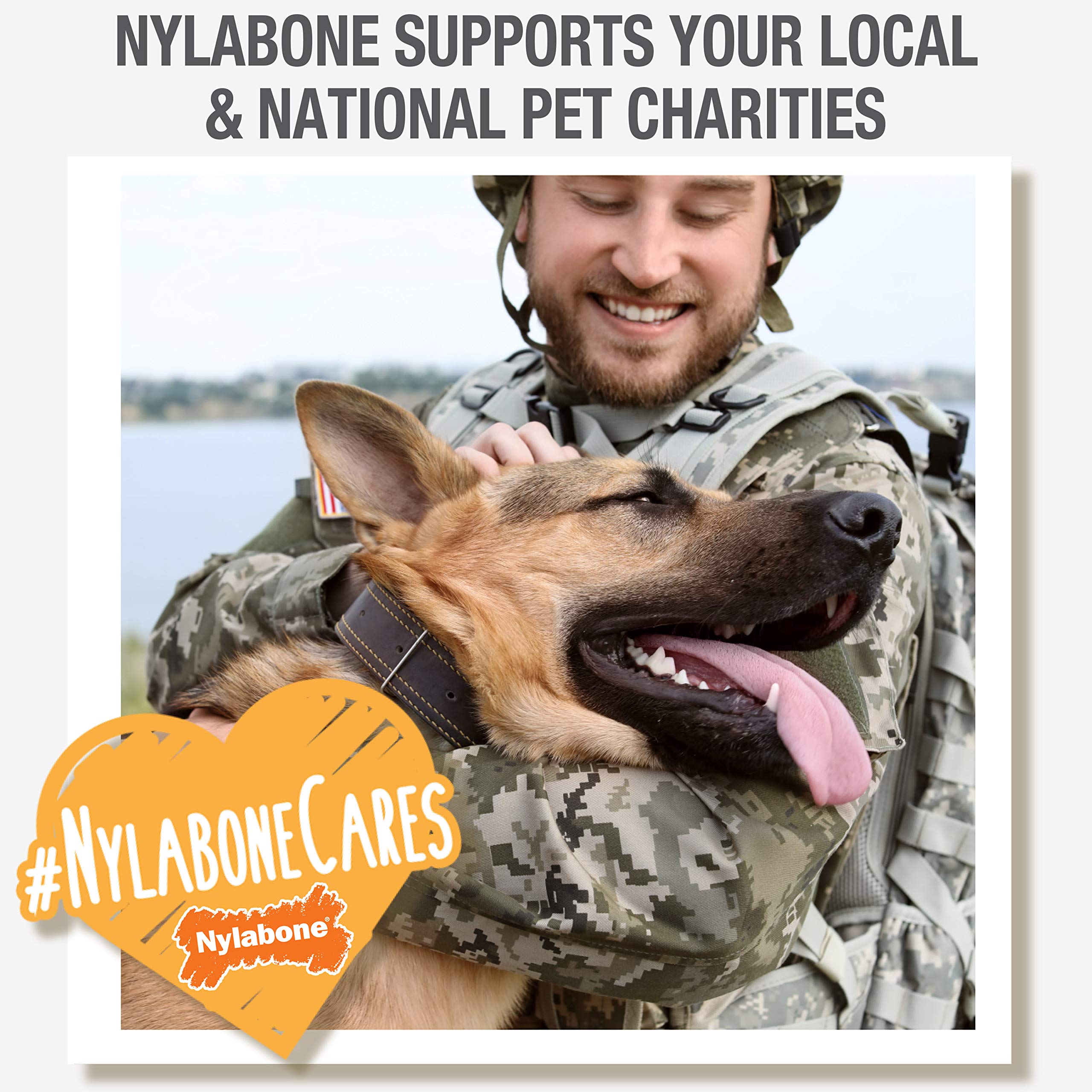 Nylabone gros plan sur surface dentaire, aide mécanique contre les débris