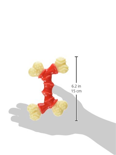 Nylabone chien mâchant le double bone, divertissement et satisfaction orale