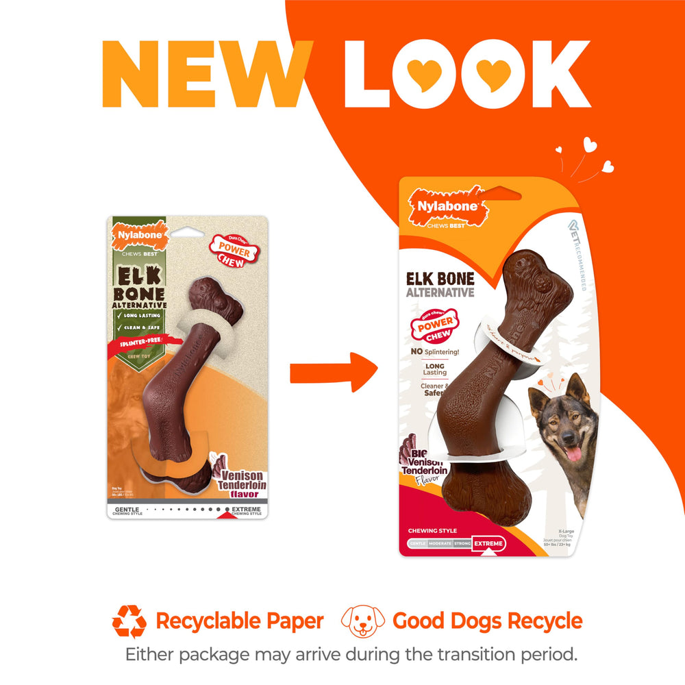 Nylabone gros plan sur la texture, aide au nettoyage mécanique des dents