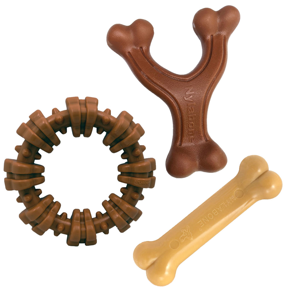 Nylabone emballage avant présentant pack durable et attrayant