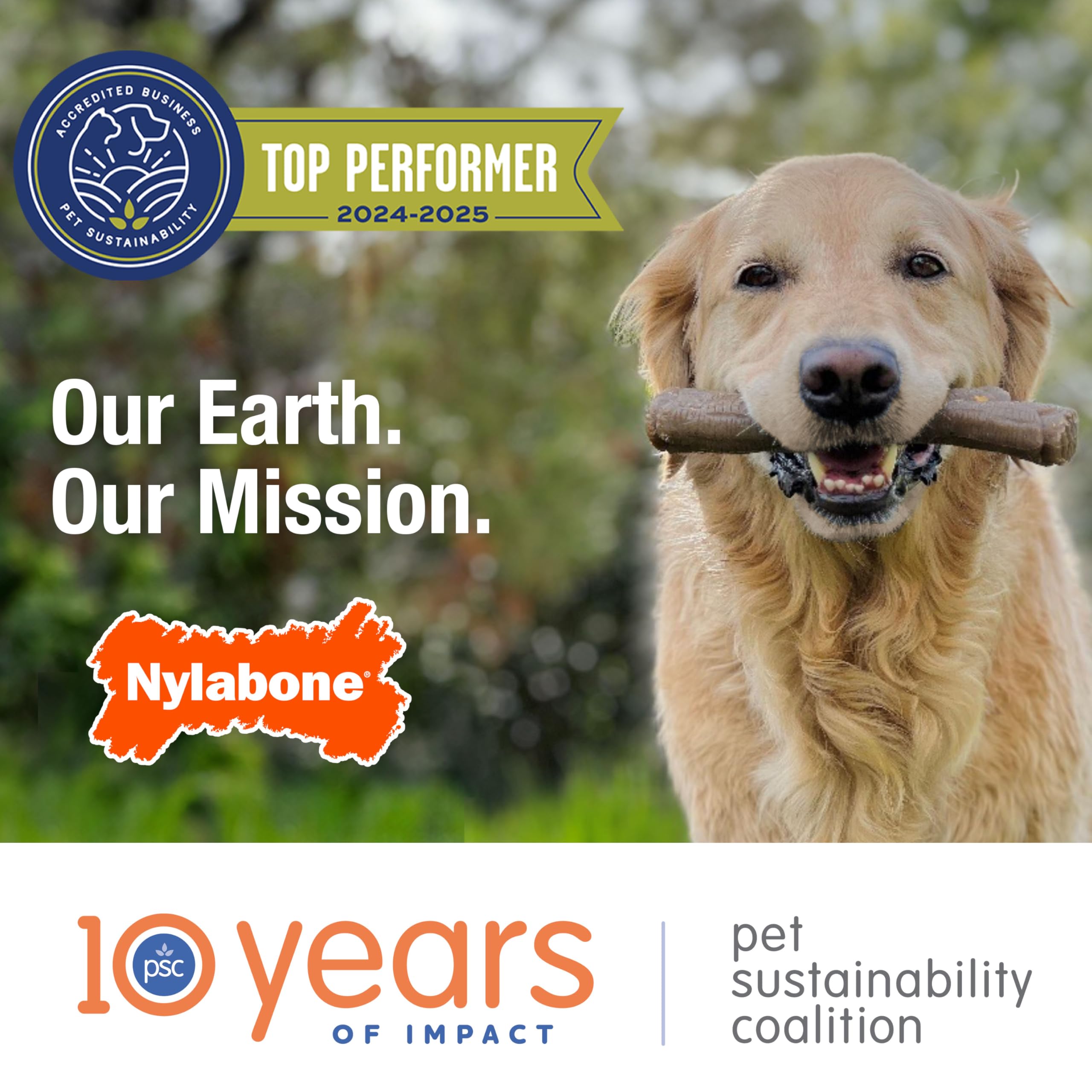 Nylabone scène domestique lifestyle démontrant jouet en usage