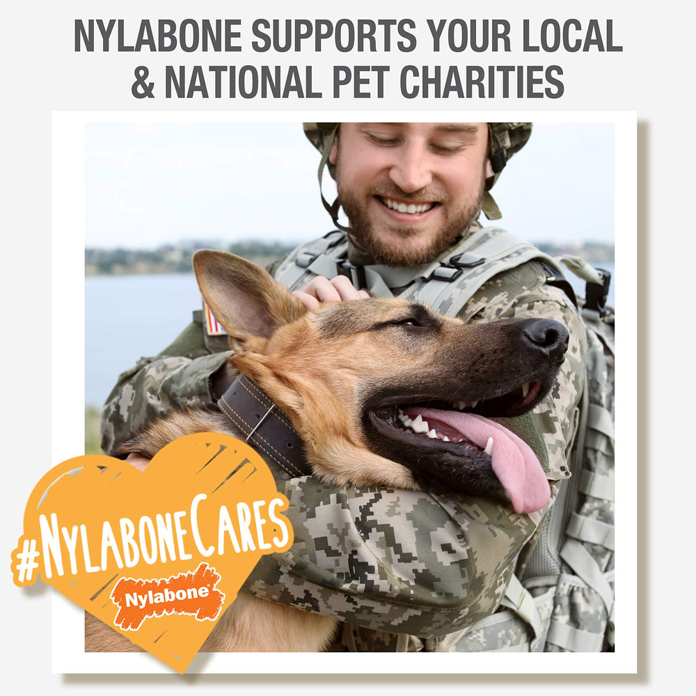 Nylabone gros plan étiquette indiquant saveur bœuf et informations claires