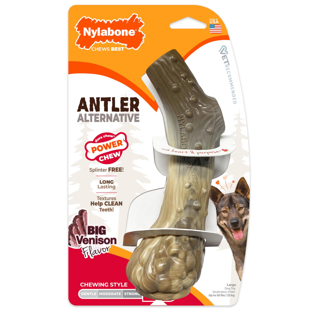 Nylabone vue avant de l’emballage montrant le jouet robuste et informatif
