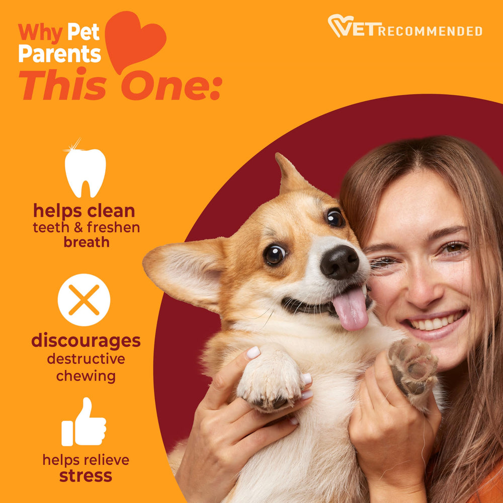 Emballage Nylabone avec mention Made in New Jersey pour confiance qualité