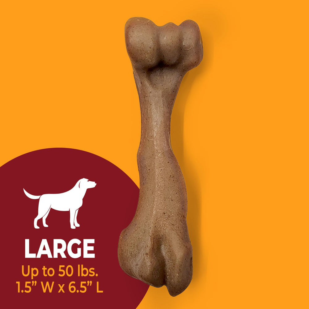 Chien mâchant Nylabone femur pour occupation et stimulation mentale