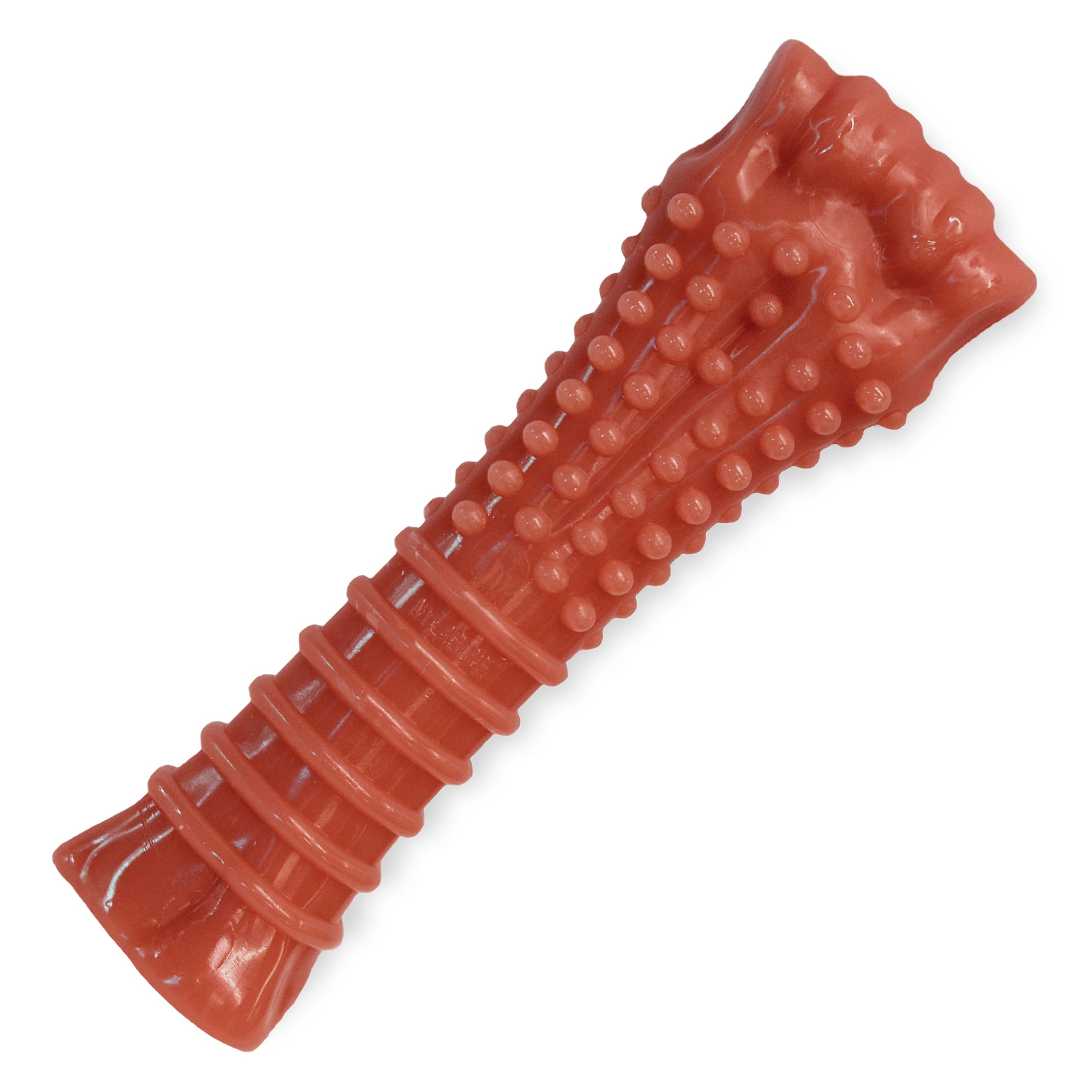 Nylabone gros plan bord arrondi pour confort du chien
