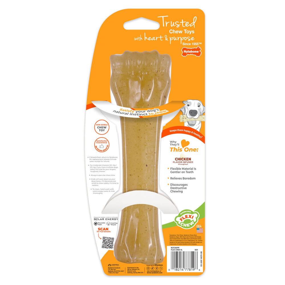 Nylabone jouet en extérieur pendant jeu actif, encourage exercice mental sain