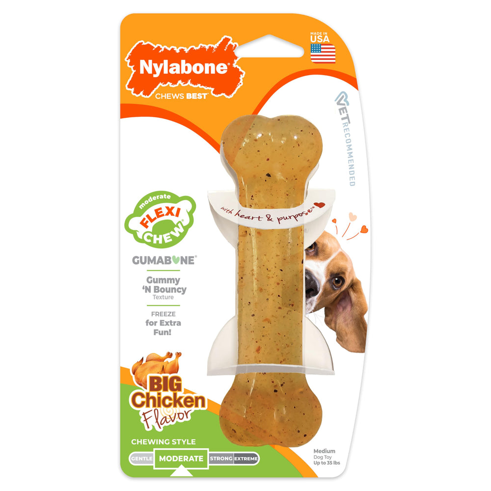 Nylabone face avant du Flexi Chew Gumabone poulet pour stimulation et hygiène