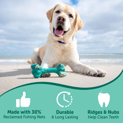 Nylabone détail montrant la saveur bacon et fromage intégrée pour attirer le chien