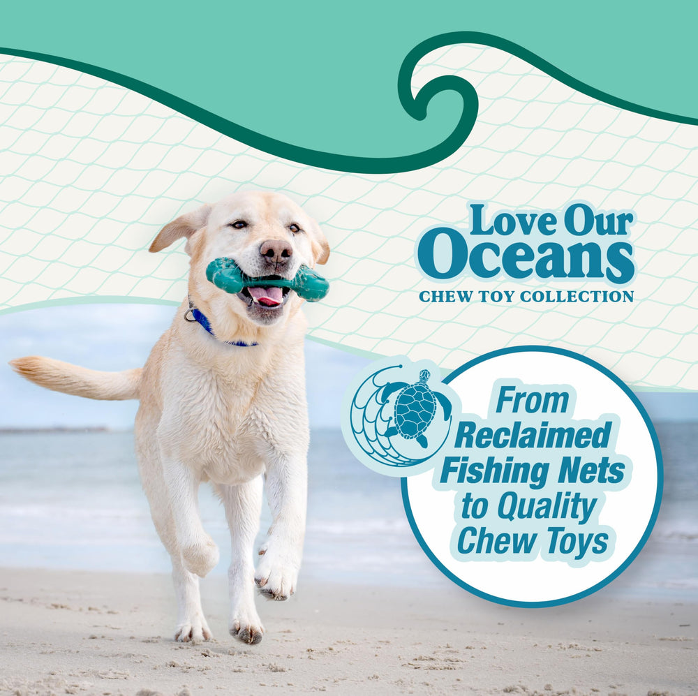 Nylabone gros plan sur la texture océanique qui nettoie les dents du chien