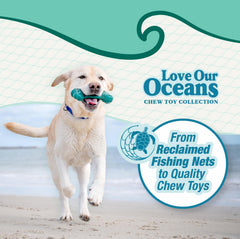 Nylabone gros plan sur la texture océanique qui nettoie les dents du chien
