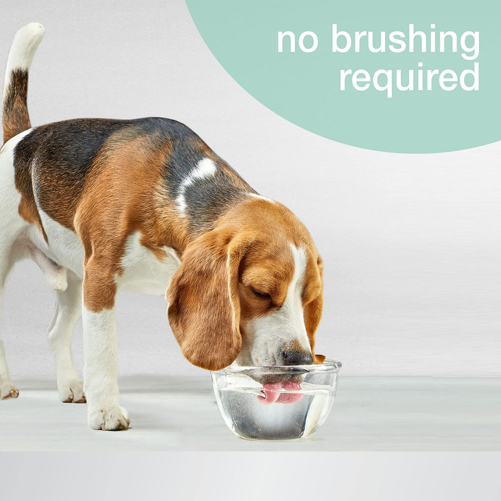 Nylabone gouttes ajoutées dans un bol d'eau pour facilité d'usage