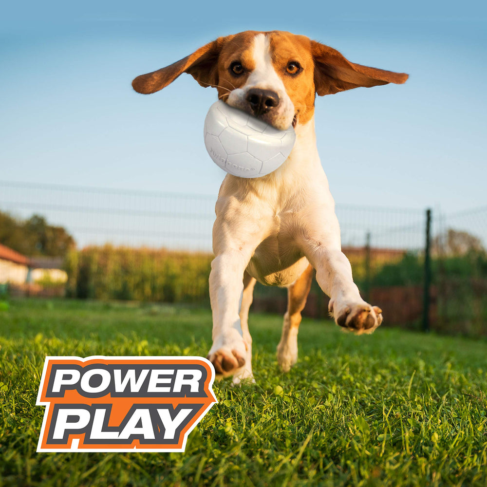 Nylabone profil du Gripz illustrant longueur 5,5 pouces pour chiens moyens