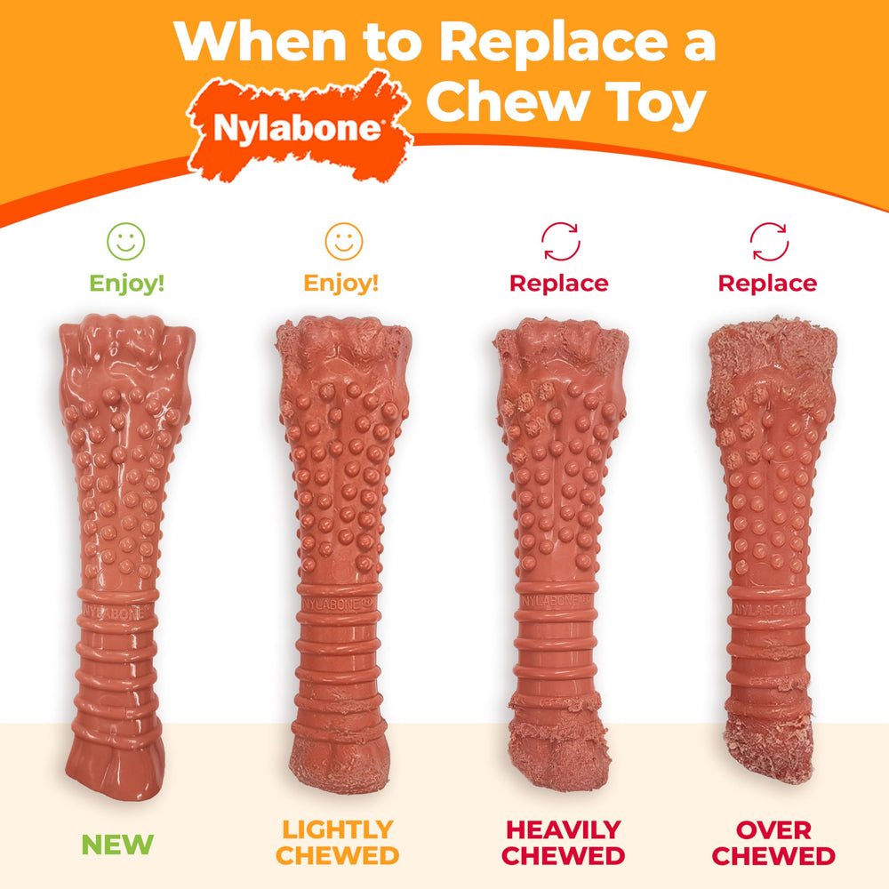 Nylabone étiquette avec dimensions offrant information claire pour achat