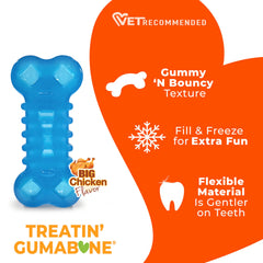 Nylabone jouet congelé pour mastication rafraîchissante et apaisante