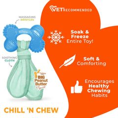 Nylabone jouet refroidi en main pour soulagement immédiat