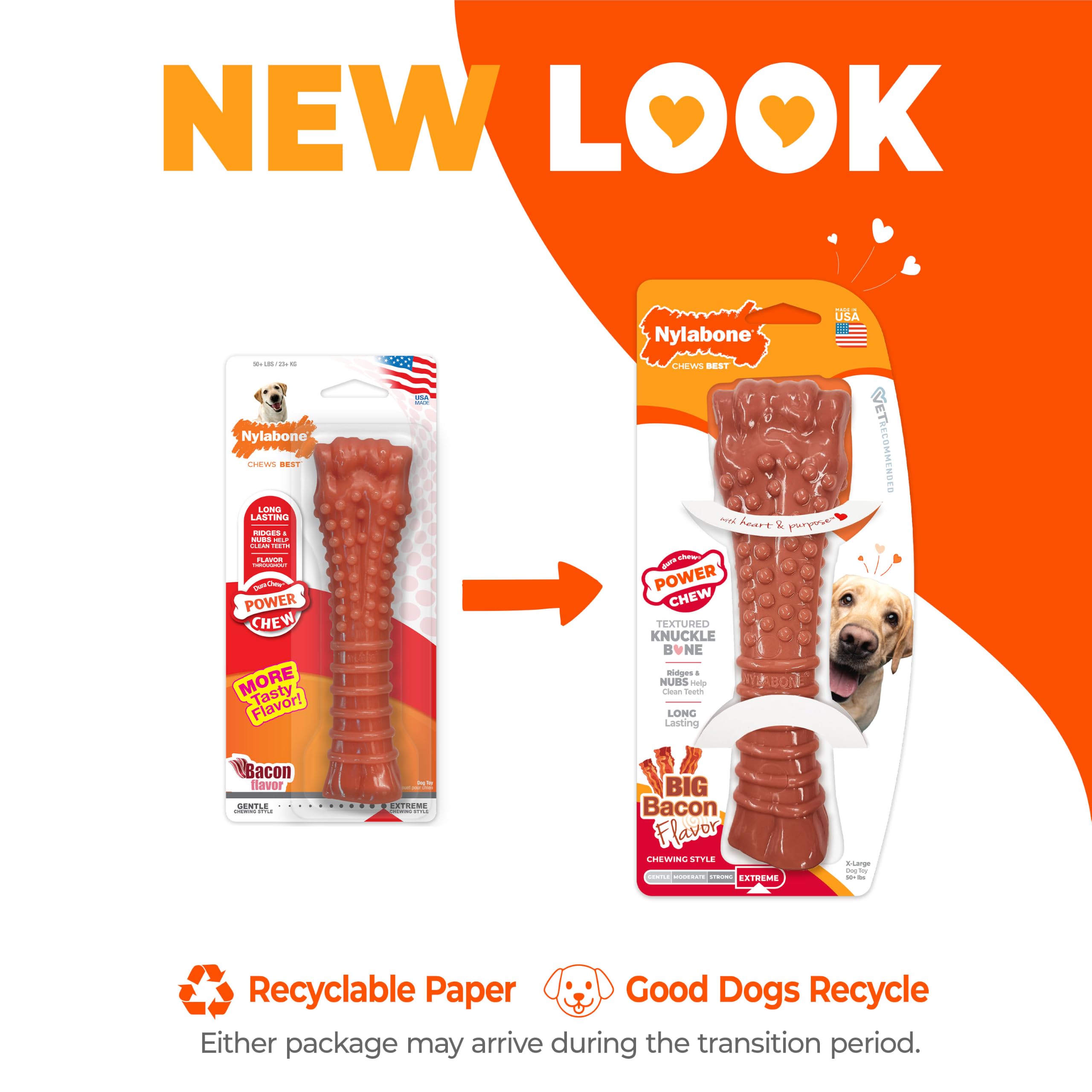 Nylabone os en main pour montrer l’échelle et solidité