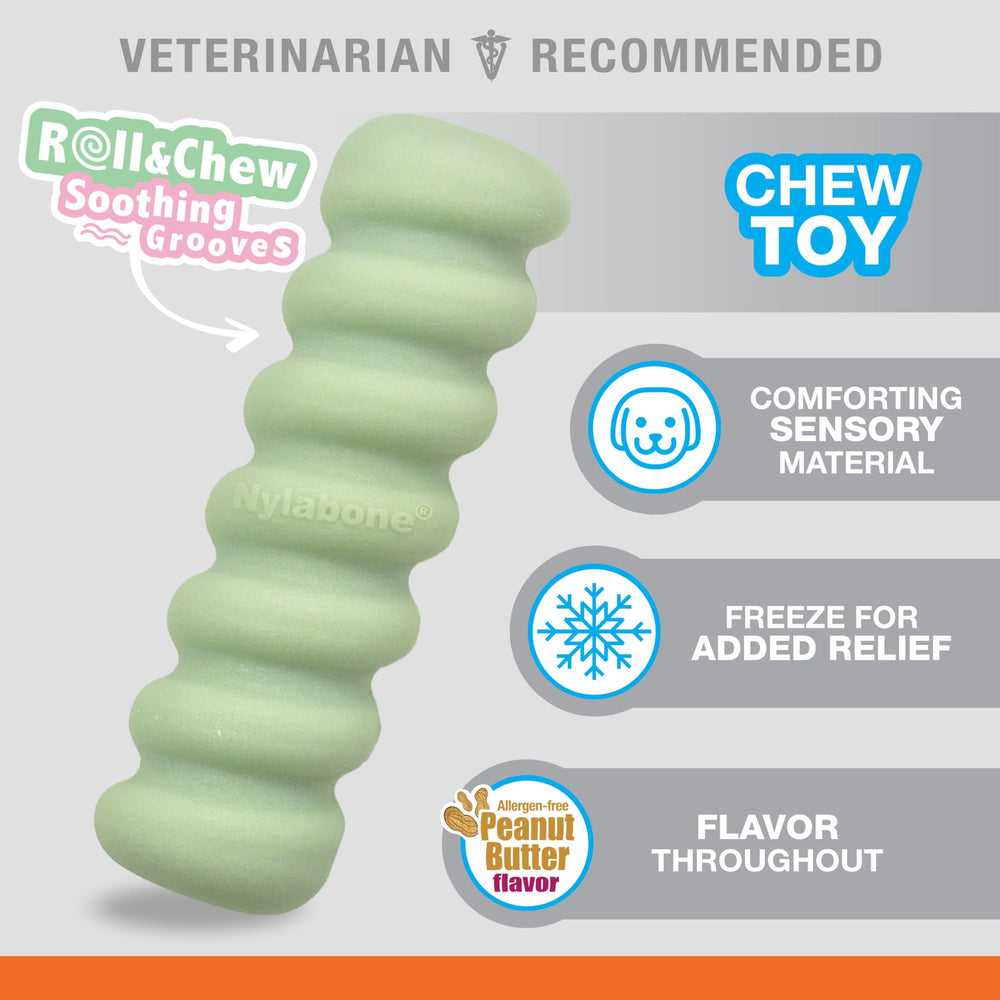 Nylabone jouets en main pour montrer taille et sécurité du produit