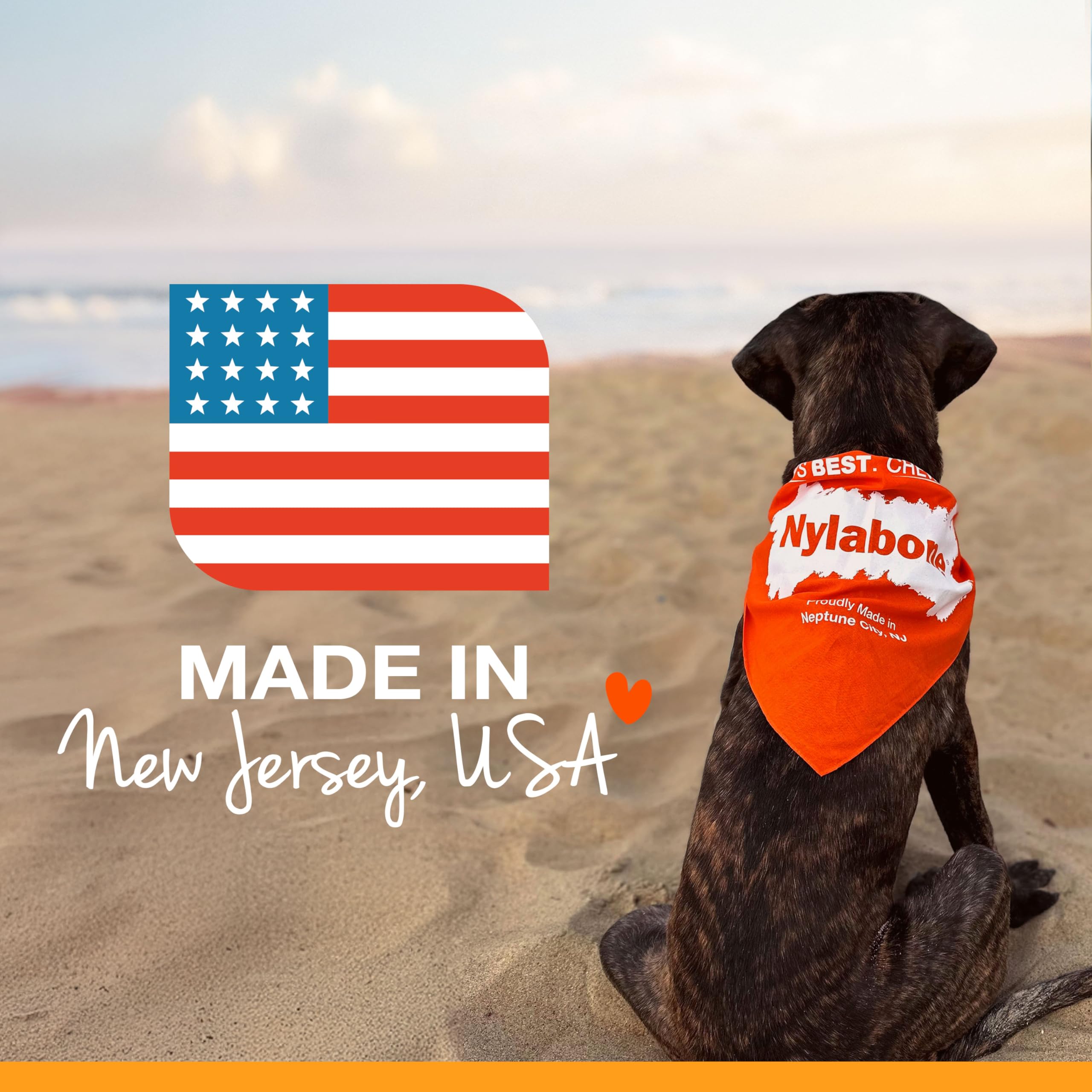 Nylabone plusieurs paquets démontrant choix pour foyers multiples