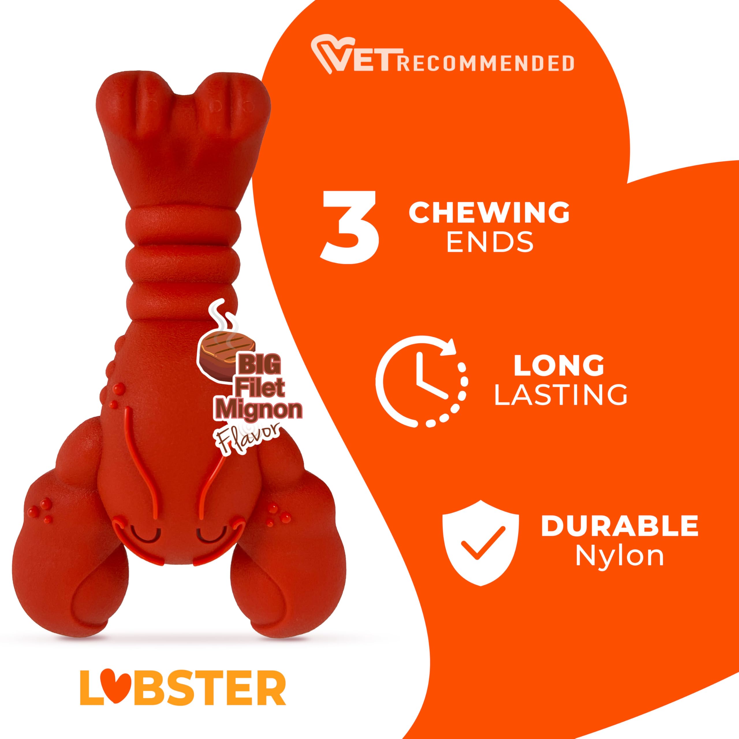 nylabone chien mâchant le lobster pour libérer énergie et concentration