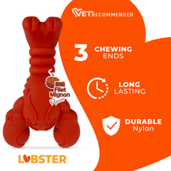 nylabone chien mâchant le lobster pour libérer énergie et concentration
