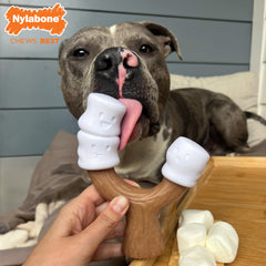 Nylabone gros plan sur la texture résistante offrant un nettoyage naturel