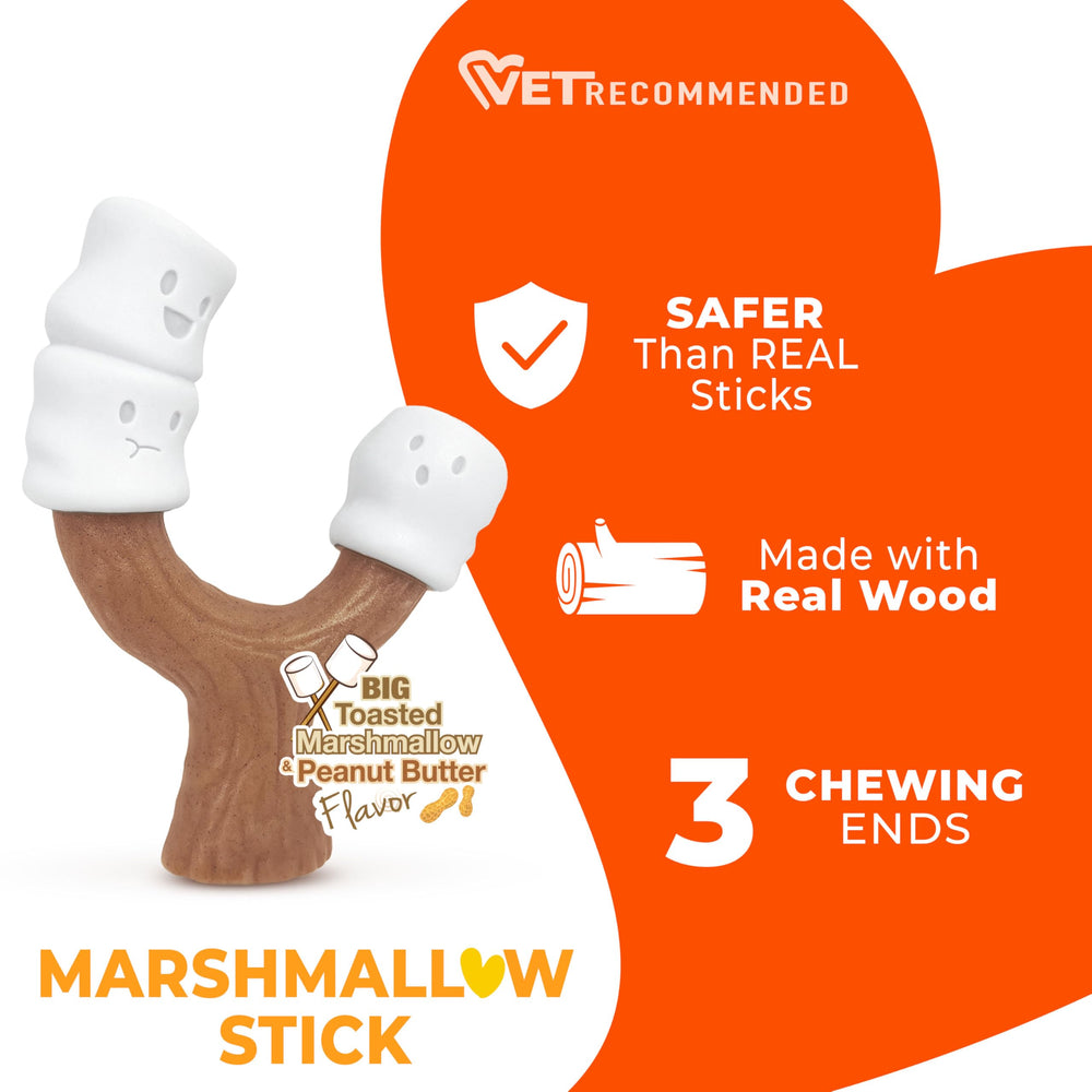 Nylabone détail de l'insert en bois ajoutant solidité et attrait tactile