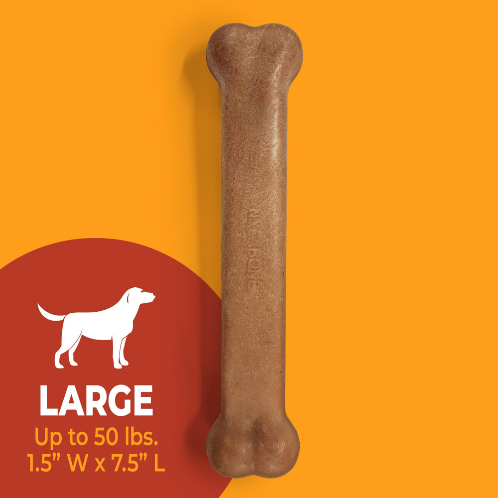 Nylabone chien mâchant l'os pour réduire ennui et anxiété
