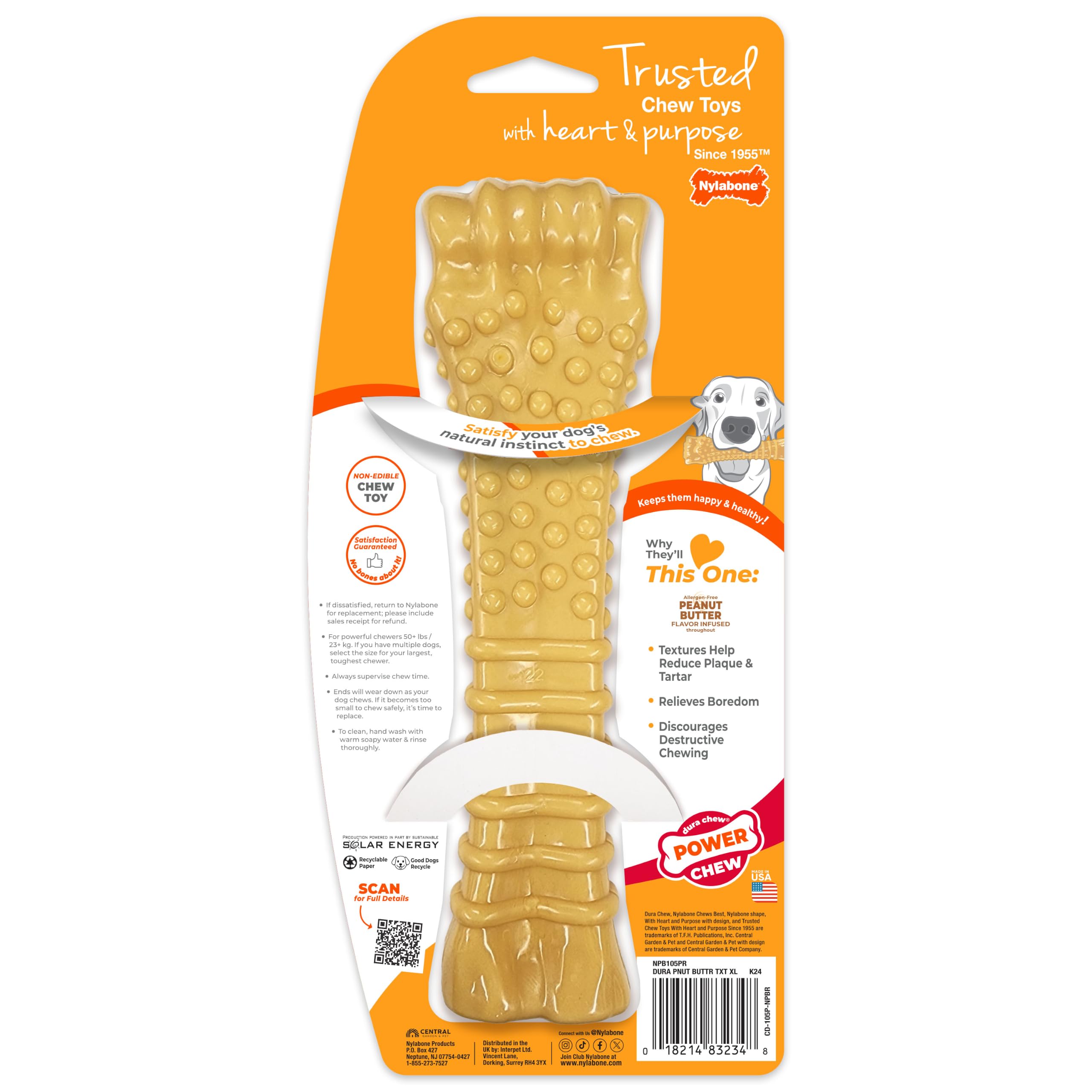Nylabone comparaison avec autres jouets met en avant durabilité supérieure