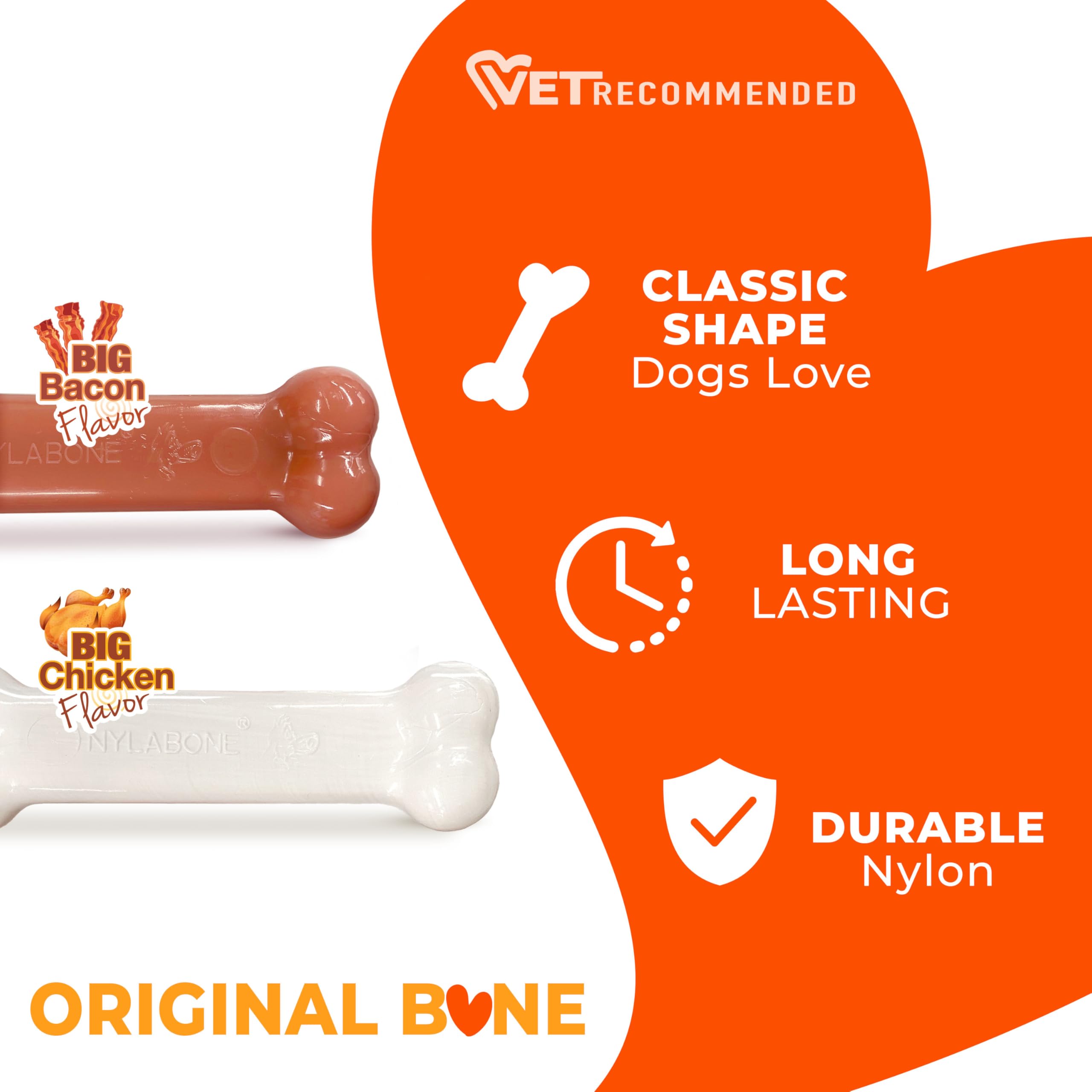 Nylabone chien en train de mâcher montrant occupation et plaisir prolongé