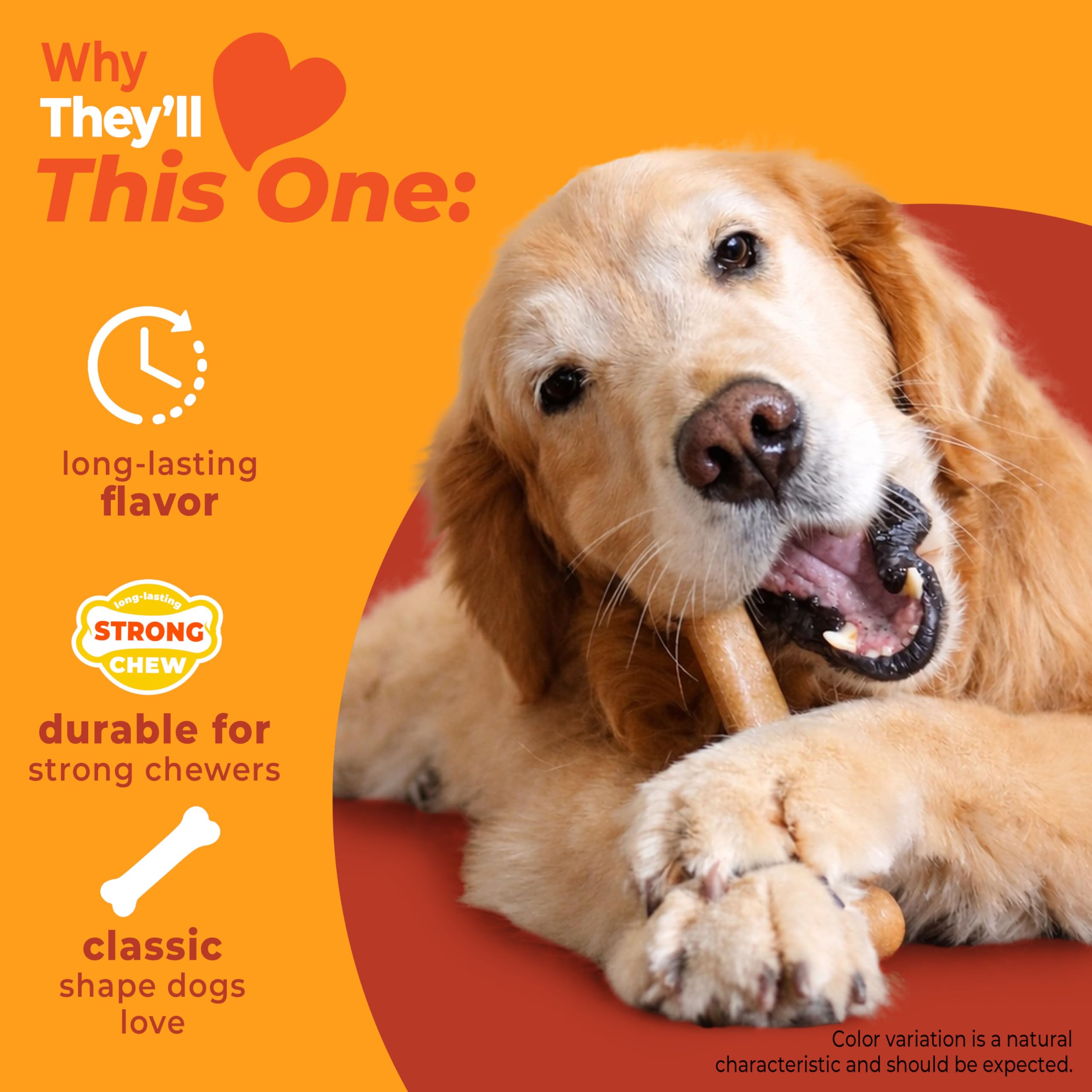 Nylabone os tenu en main illustrant taille adaptée et sécurité
