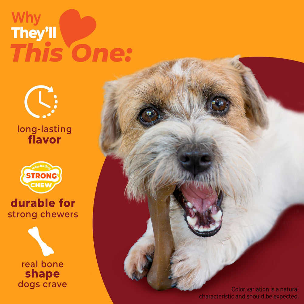 Nylabone os femur en main pour échelle et sécurité taille