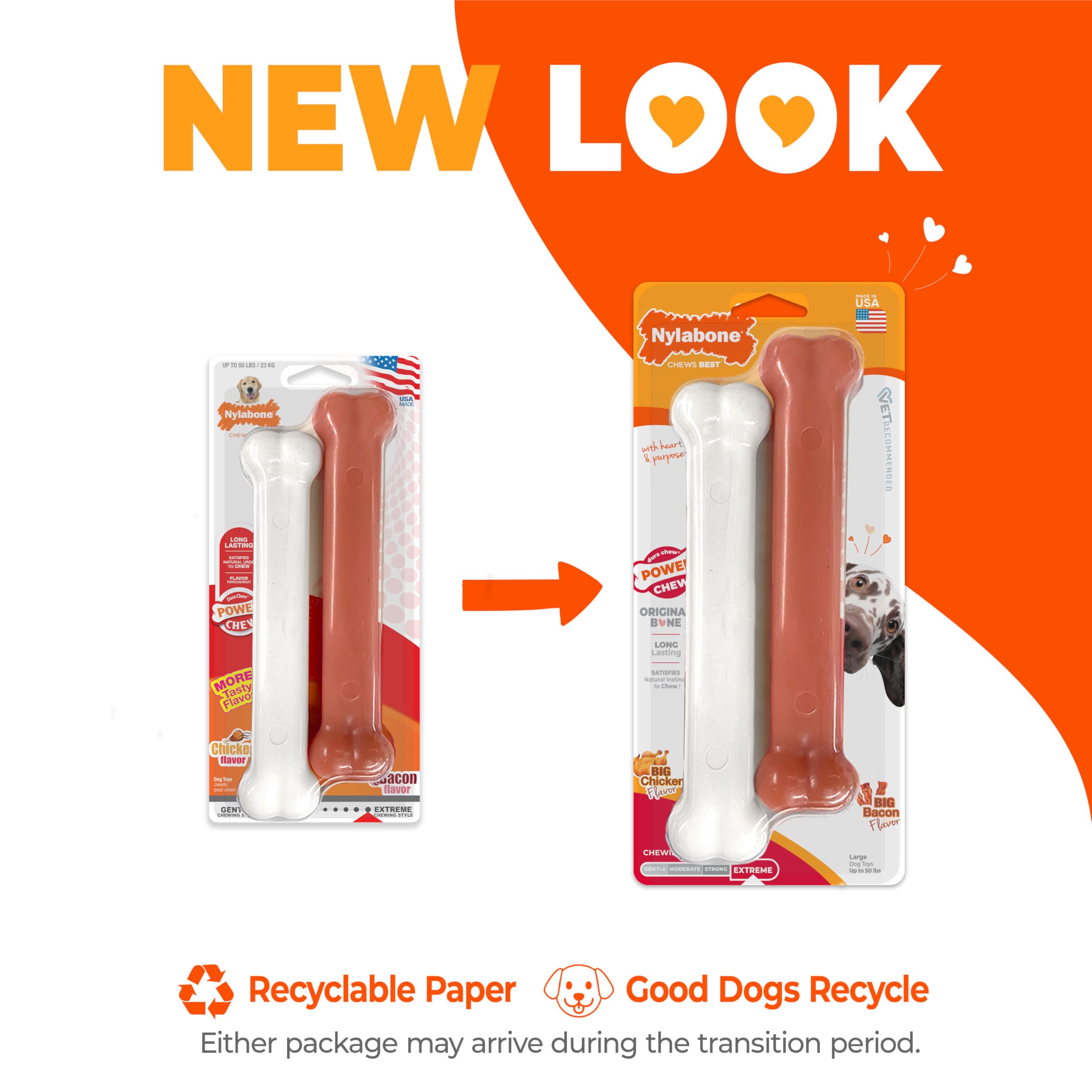 Nylabone os tenu à la main pour visualiser l'échelle
