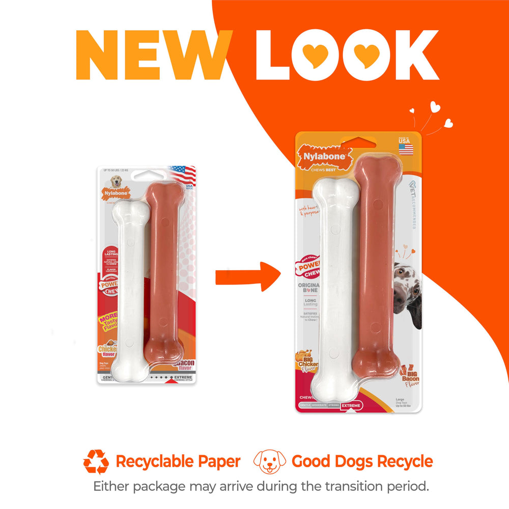Nylabone os tenu à la main pour visualiser l'échelle