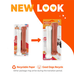 Nylabone os tenu à la main pour visualiser l'échelle