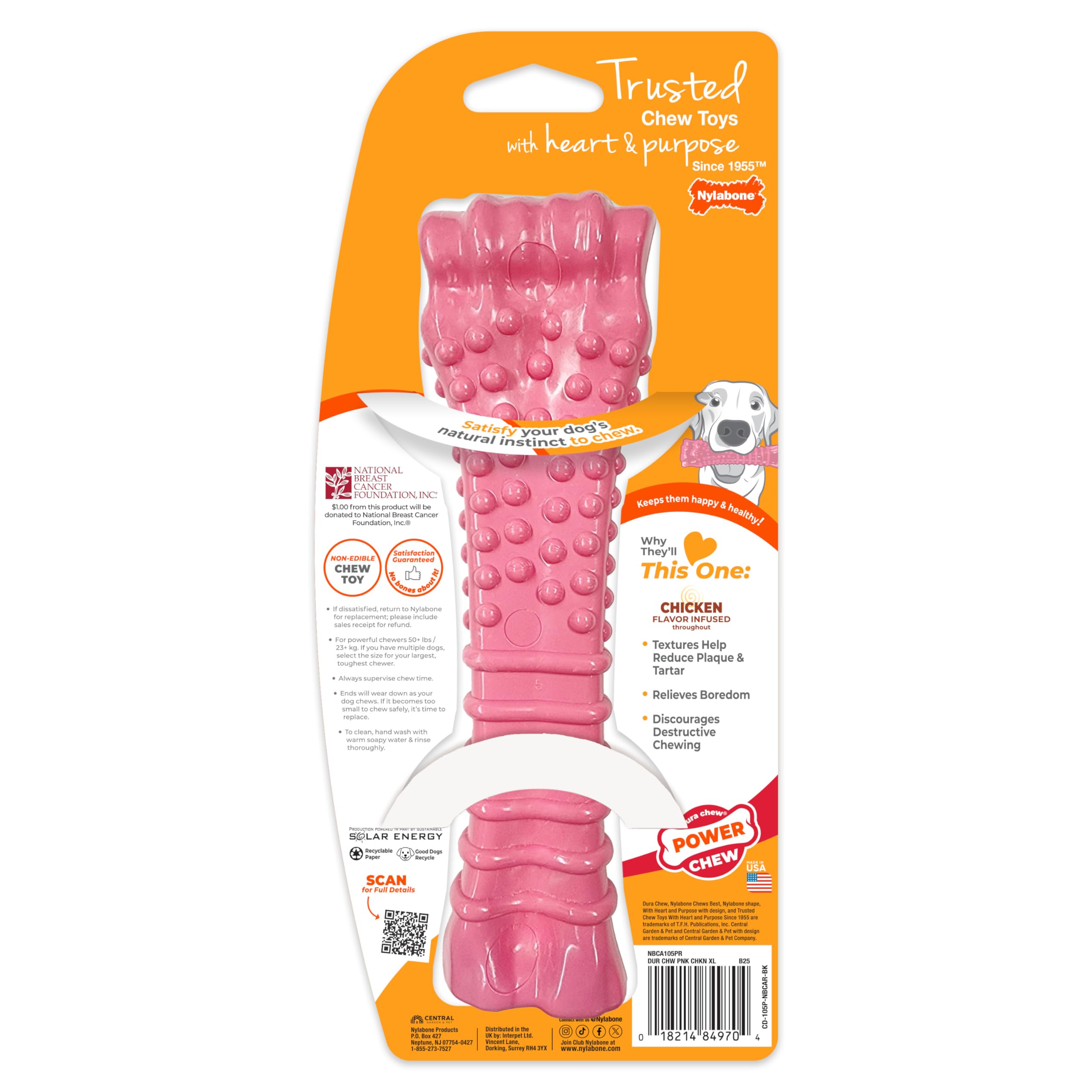 Nylabone détail matière nylon montrant résistance aux mâchoires puissantes