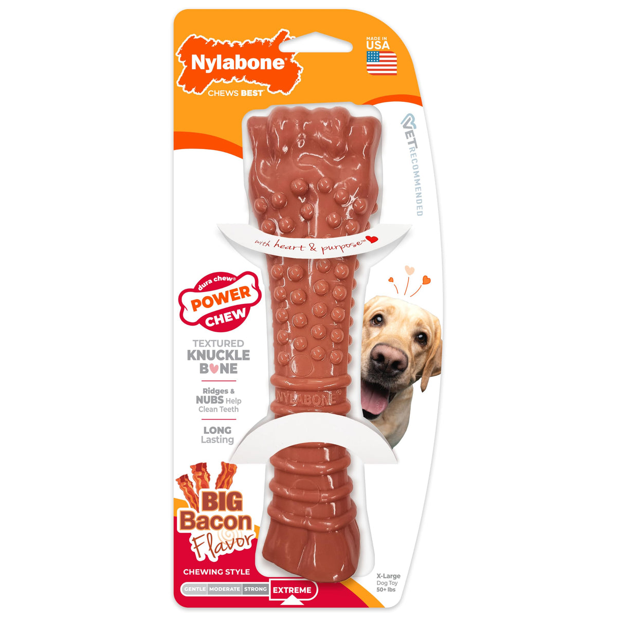 Nylabone os noeud face montrant forme classique et robustesse